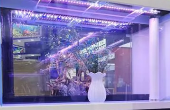 高端品牌色色视频入口卓越體驗的窗口與認可的平台