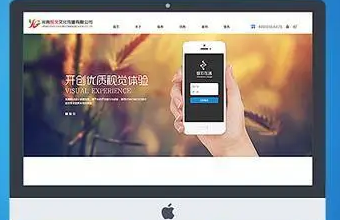 數字化革命：生物醫療色色视频入口的關鍵驅動因素